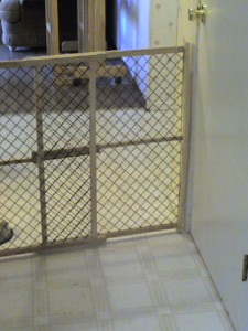 Doggie Gate: Basement door to the right.