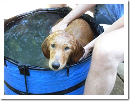 Lilly gets a bath